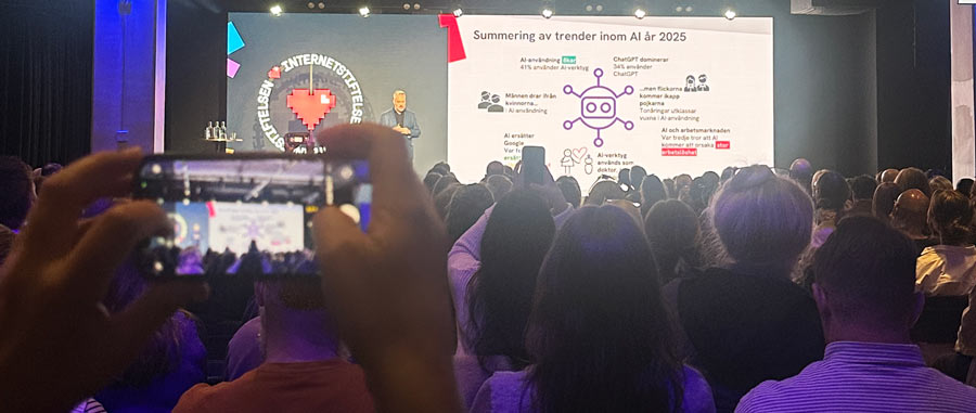 Svenskarna och internet 2025